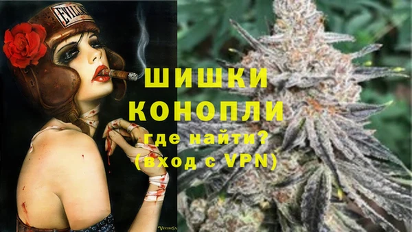 шишки Куйбышев