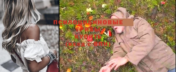 винт Кулебаки