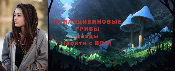 шишки Куйбышев