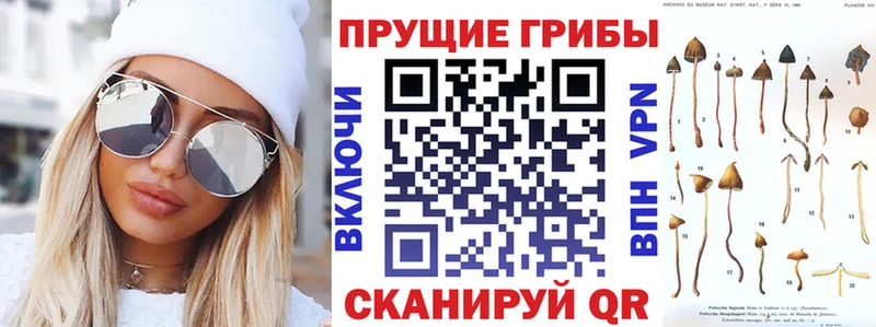 Псилоцибиновые грибы ЛСД Куртамыш